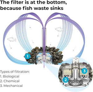 Diagram of fish tank filtration system with text explaining biological, chemical, and mechanical filtration.