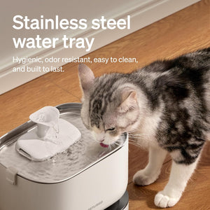 Cat drinking water from a stainless steel water tray on a wooden floor.