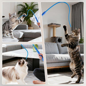 Collage of cats playing with a blue ribbon toy in a living room setting at Pet Servo