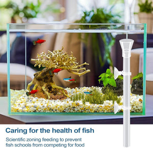 Fish tank with decorative elements and fish, placed indoors with plants and furniture in the background at Pet Servo