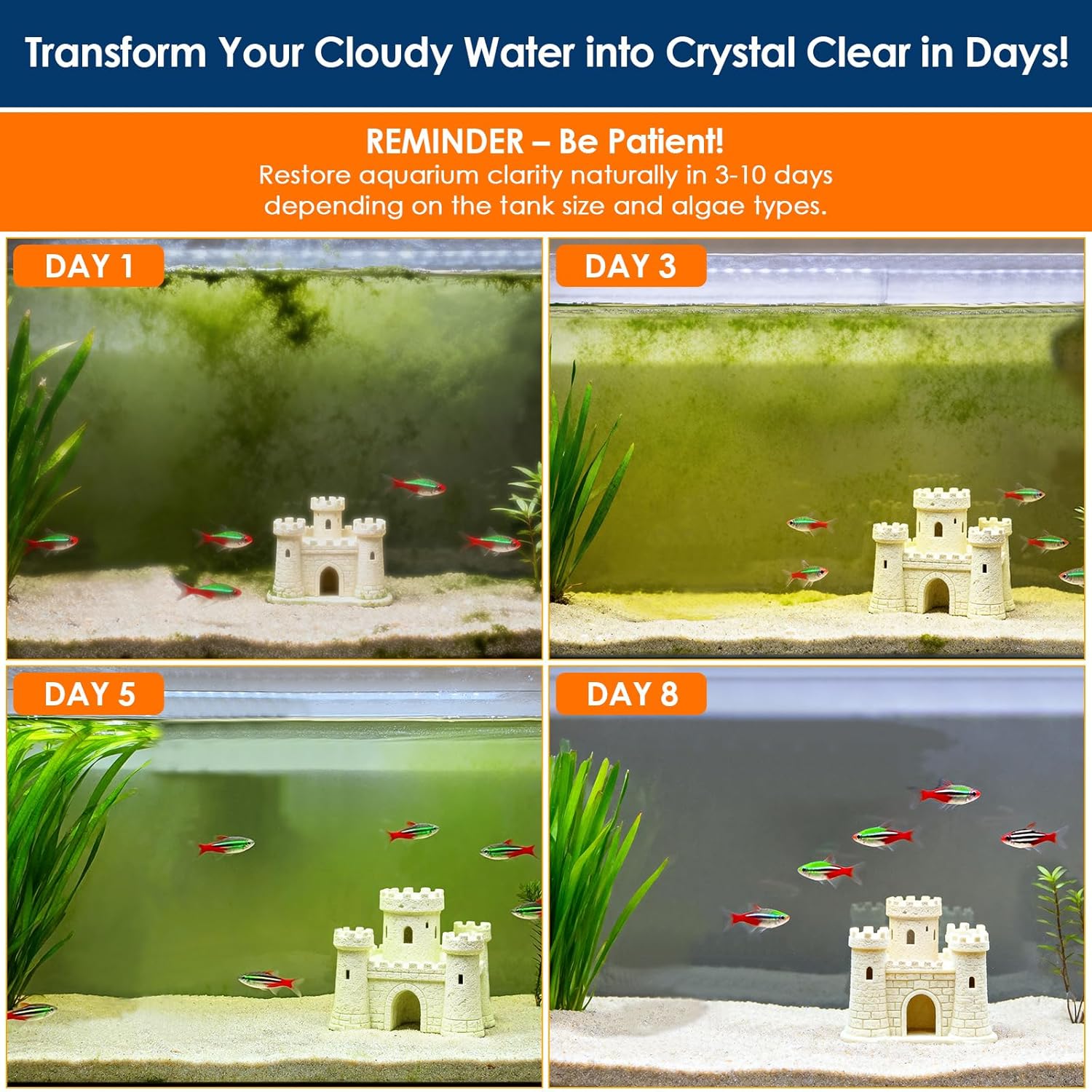 Aquarium cleaning process showing water clarity improvement over days with text about patience and natural restoration at Pet Servo