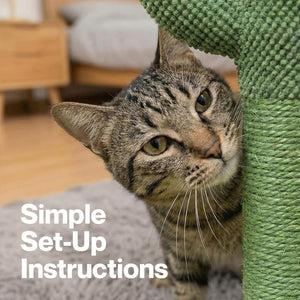 A tabby cat peers from behind a green textured scratching post in a home setting, with the text 'Simple Set-Up Instructions' overlaid on the bottom left at Pet Servo