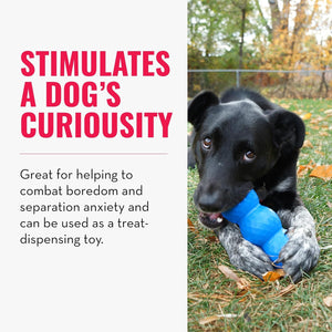 Dog playing with a blue toy outdoors, with text about stimulating a dog's curiosity at Pet Servo