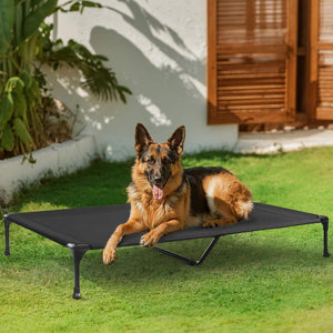 Dog lying on a elevated pet bed in a grassy area with a house in the background