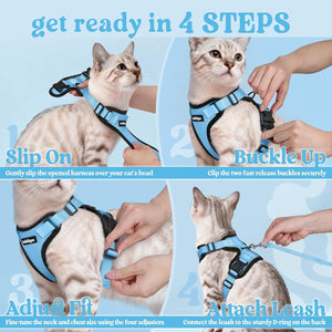 Step-by-step guide on how to put on a blue cat harness and leash at Pet Servo