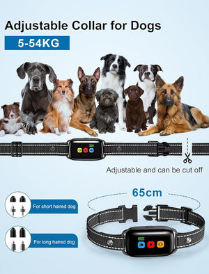 Dog collar with adjustable features and compatibility for different dog sizes on a light blue background at Pet Servo