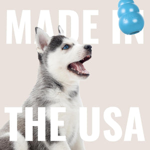 Dog with a blue KONG toy and 'Made in the USA' text on a beige background at Pet Servo