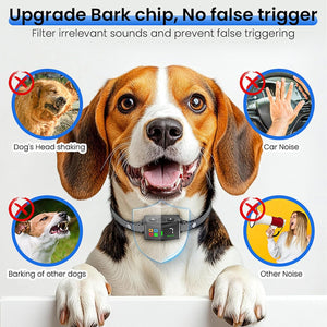Dog wearing a collar with a screen displaying text about noise filtering and false triggering, on a white background at Pet Servo