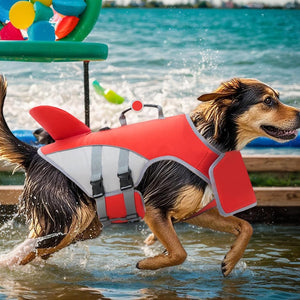 Dog wearing a red life jacket running on water with colorful toys in the background at Pet Servo