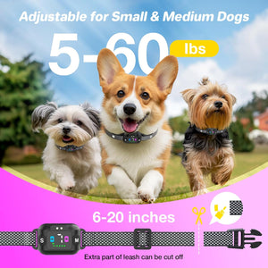 Three dogs wearing collars with adjustable size information on a grassy background at Pet Servo
