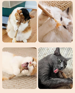 Collage of four images featuring cats interacting with a catnip toy at Pet Servo