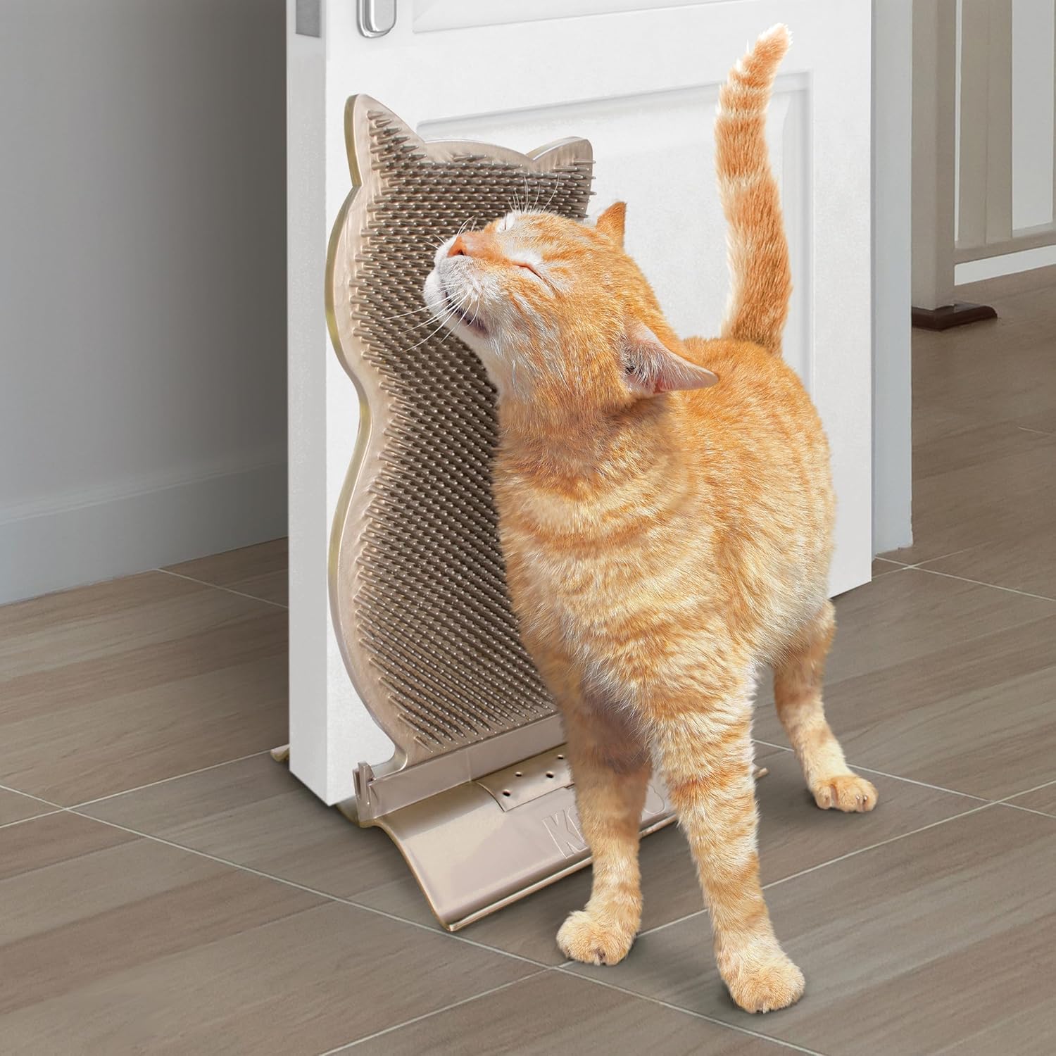 Cat using a cat-shaped scratching post next to a door at Pet Servo