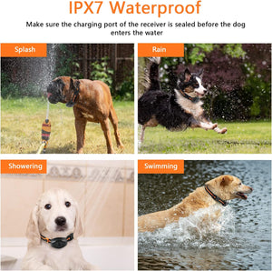 Images of dogs in various water conditions with text indicating IPX7 waterproof rating at Pet Servo