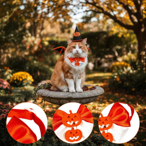 An orange and white cat wearing a Halloween costume sits on a stone planter in an outdoor garden. The costume includes a black witch hat with a jack-o'-lantern face, small orange bat wings, and an orange bow tie with a matching orange collar.