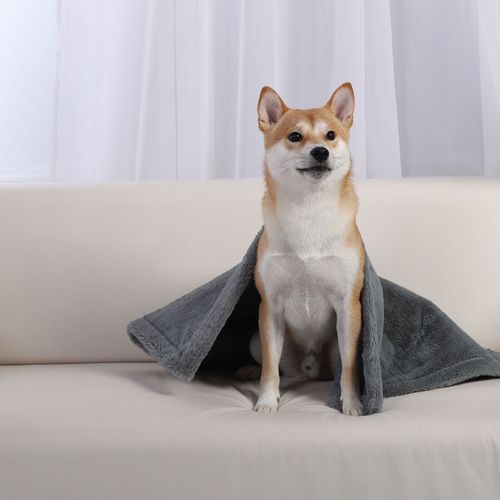 Charlie's - Sensory Double-sided Faux Fur Pet Blanket - Blue/Grey