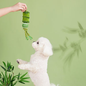 A small white dog stands on its hind legs reaching for a green plush toy being held by a person's hand against a light green background with soft plant shadows at Pet Servo