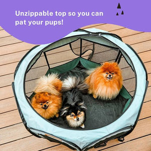 Charlie’s Adventure Foldable Pet Playpen Crate - Small Sage - PetServo-1