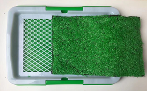 Green artificial grass mat with a white border on a light gray background at Pet Servo