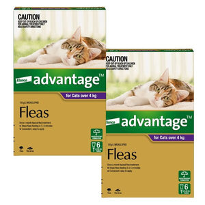 Two boxes of Elanco Advantage for cats over 4 kg with a cat lying on a couch in the background at Pet Servo
