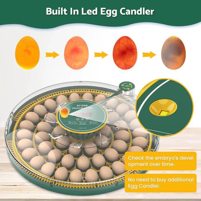 Egg candler with built-in LED lights and text indicating its features.