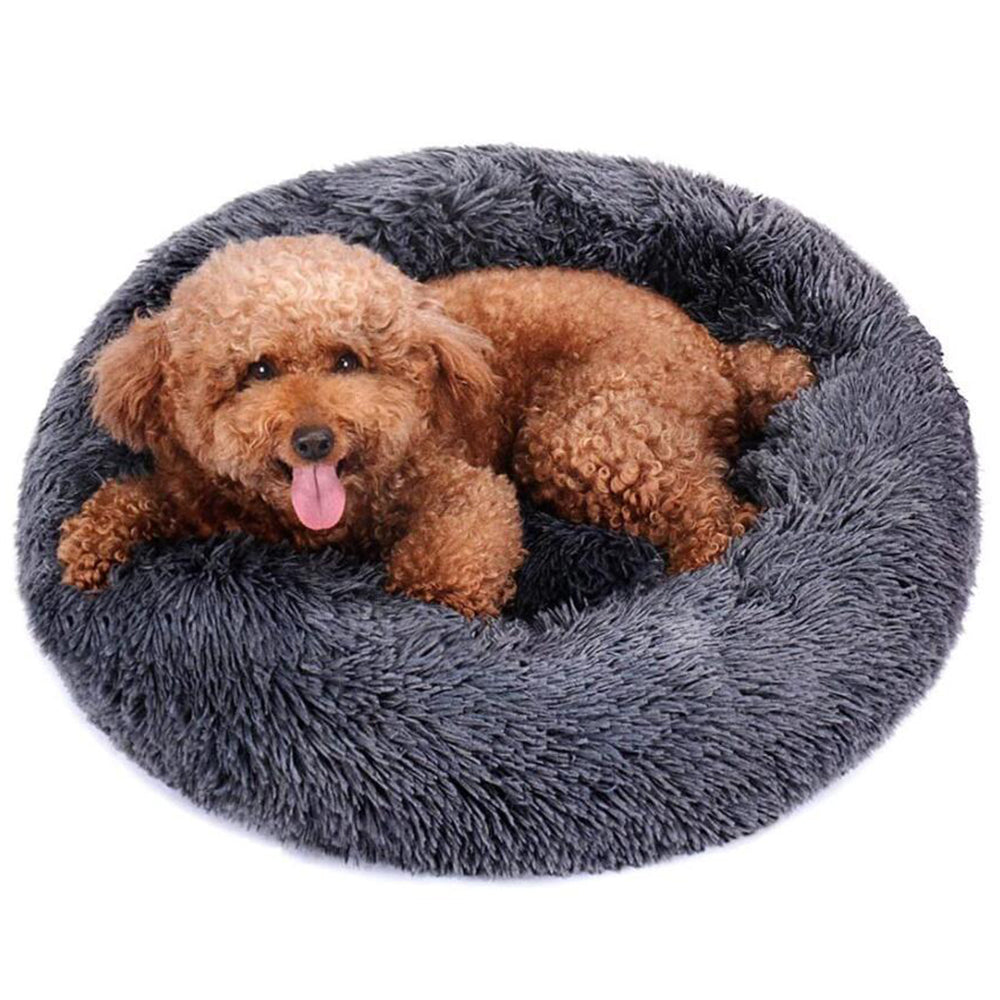 Dog lying on a fluffy gray pet bed with a white background at Pet Servo