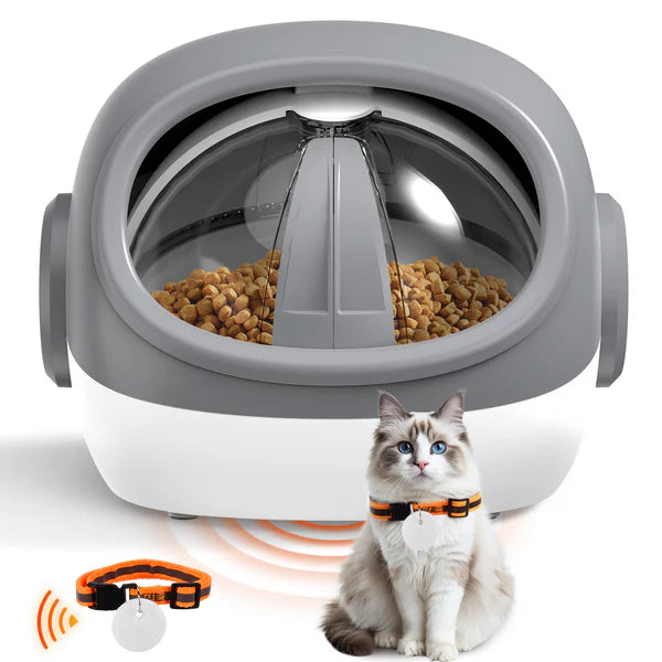 Pet feeder with food and a cat sitting next to it on a white background