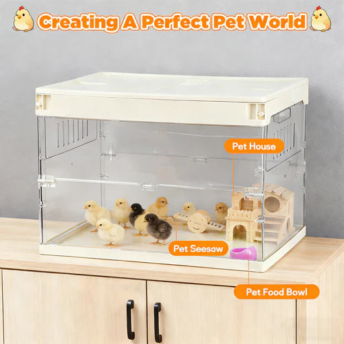 Pet house with chicks, seesaw, and food bowl on a wooden surface with a gray background at Pet Servo