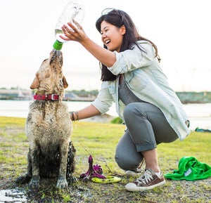 Woman playing with a dog by a lake at Pet Servo