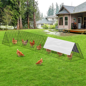 Chicken coop with chickens in a backyard setting
