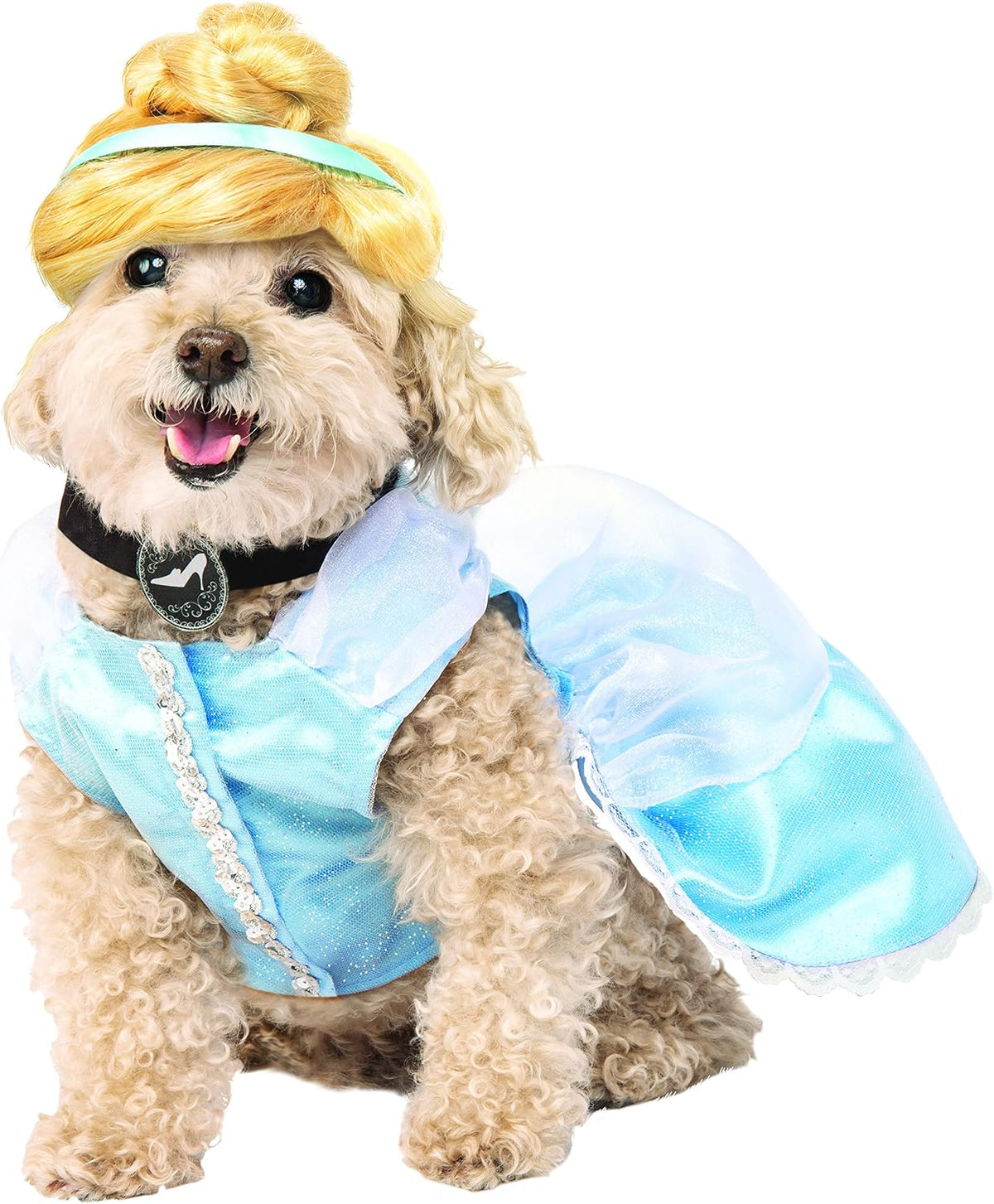 Dog wearing a Cinderella costume with a blue dress and yellow hairpiece on a white background at Pet Servo