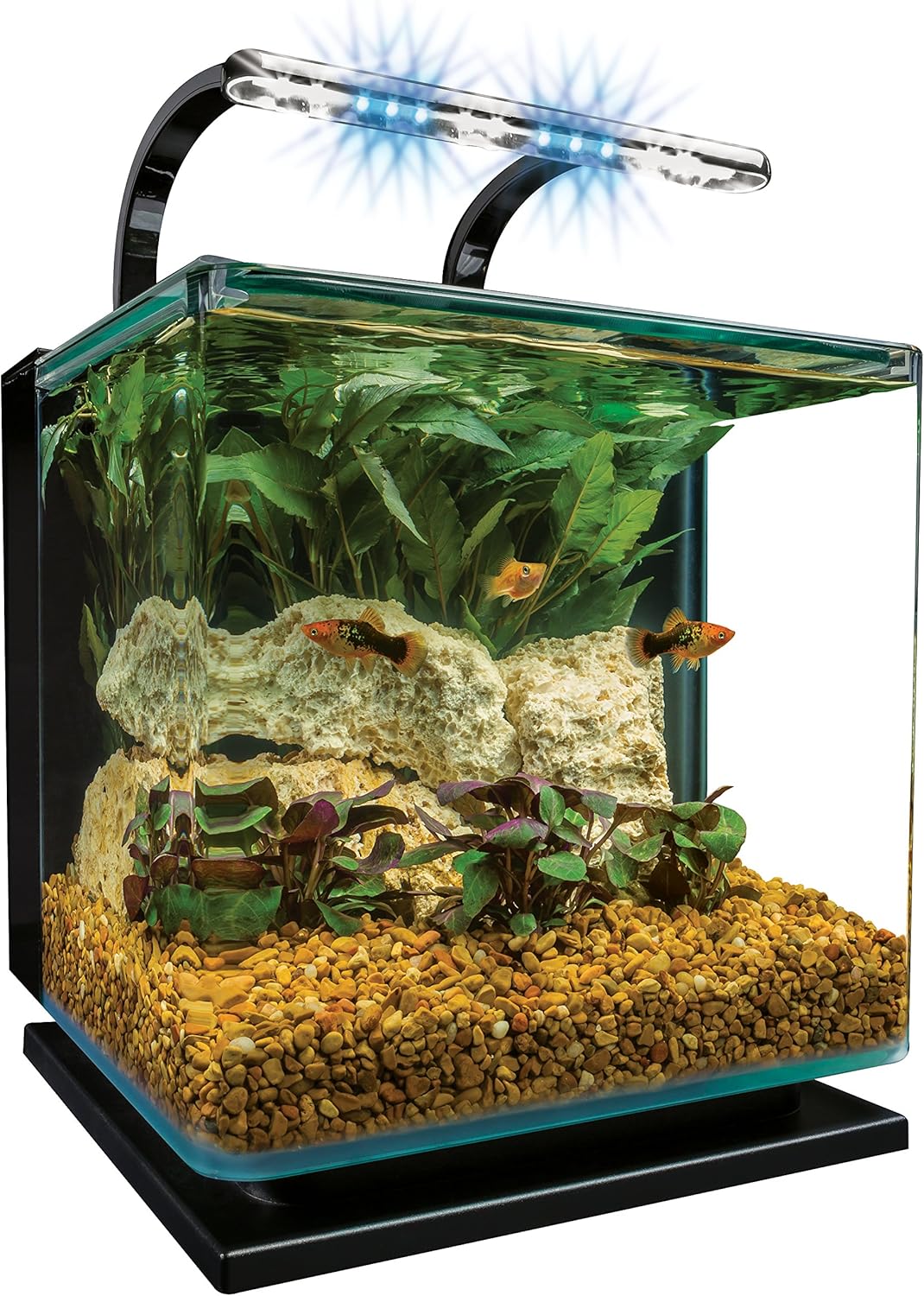 Small aquarium with fish, plants, and a light on a white background at Pet Servo