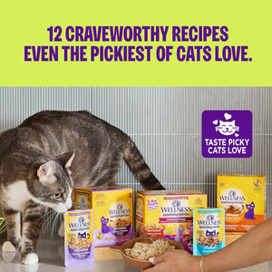 Cat interacting with Wellness cat food packages and a bowl of food on a green background with text about craveworthy recipes at Pet Servo