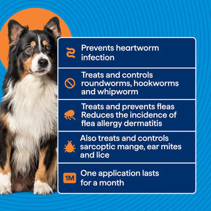 Dog with a blue label detailing pet care product benefits on a blue background at Pet Servo