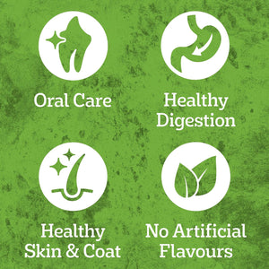 A green textured promotional graphic with four white circular icons and text reading Oral Care, Healthy Digestion, Healthy Skin & Coat, and No Artificial Flavours.
