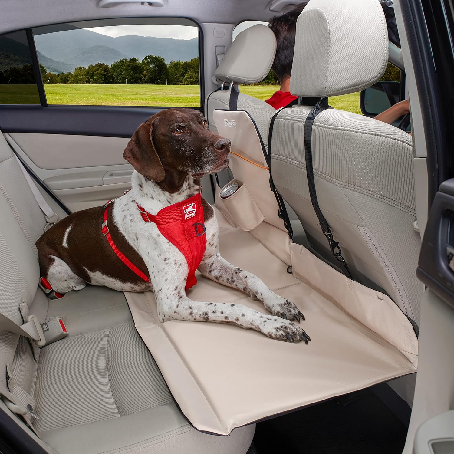 Kurgo - Padded Dog Car Carrier at Pet Servo