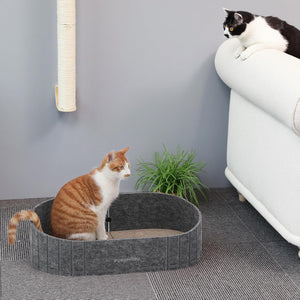 Two cats in a gray pet bed with a white couch and plant in the background at Pet Servo