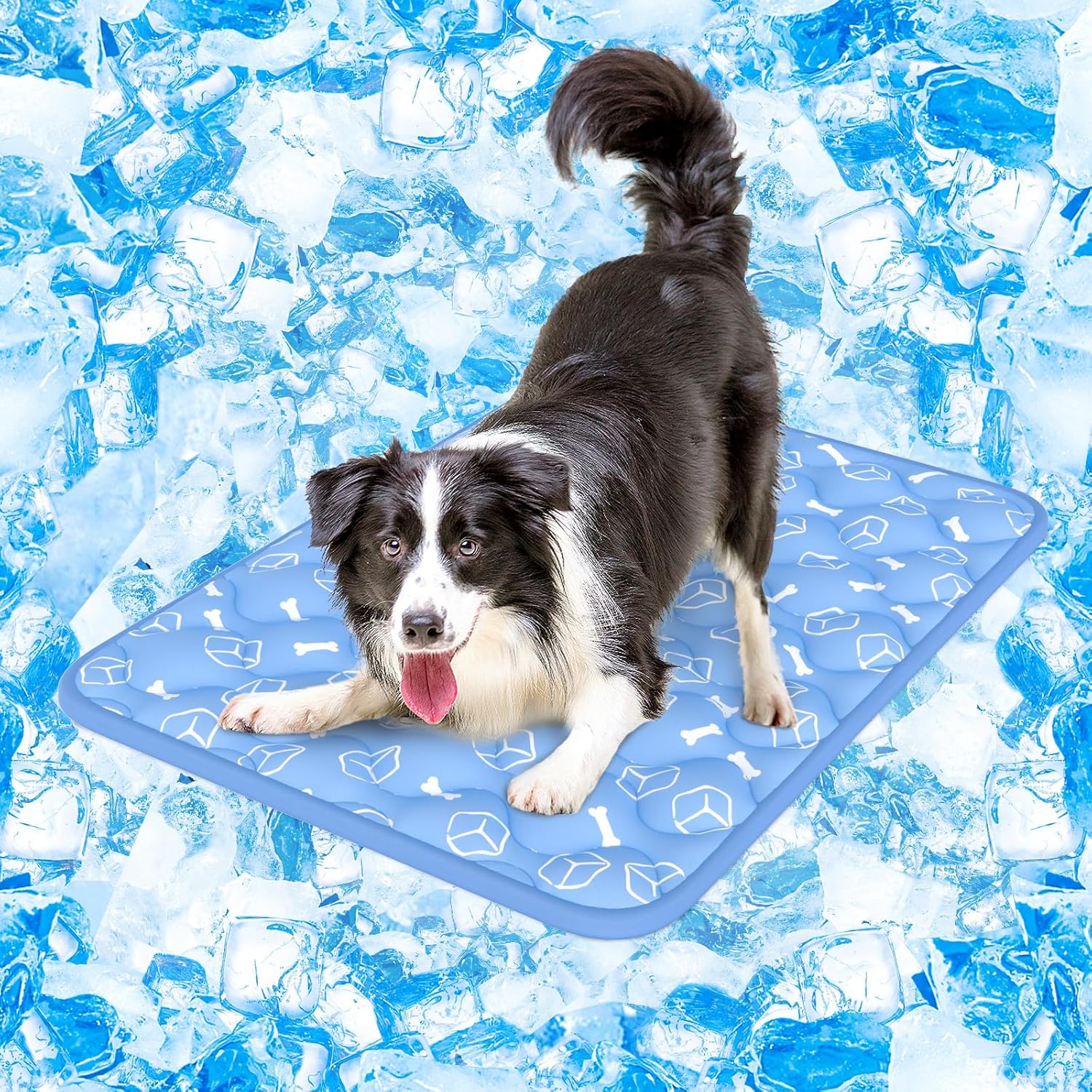 Dog lying on a blue cooling pad with ice cubes in the background at Pet Servo