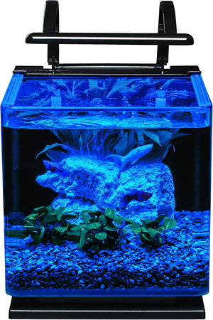 Small aquarium with blue lighting, rocks, and plants on a black background at Pet Servo