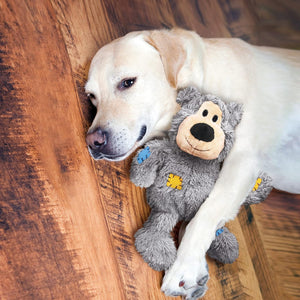 Dog holding a plush toy on a wooden floor at Pet Servo