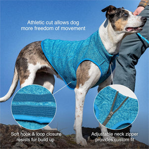 Stylish and lightweight sweater for cool weather walks - Petservo