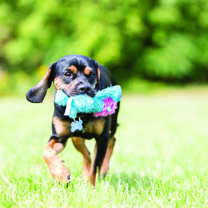 Dog running on grass with a colorful toy in its mouth at Pet Servo