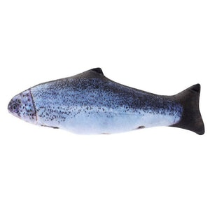 Fish on a white background at Pet Servo