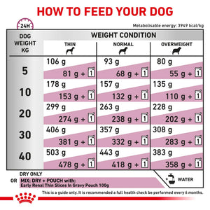 Royal Canin - Veterinary Diet Early Renal Adult Dry Dog Food - Petservo
