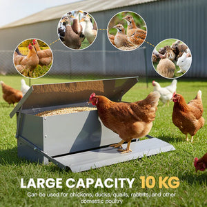 Chicken feeder with chickens around it, labeled 'Large Capacity 10 KG' at Pet Servo