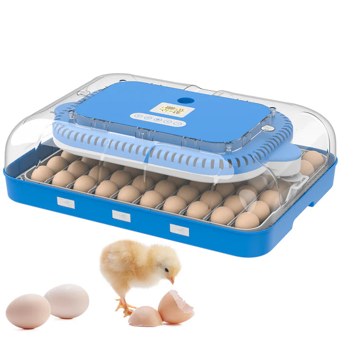 Advwin - 70 Eggs Incubator Automatic Egg Turning - Pet Servo