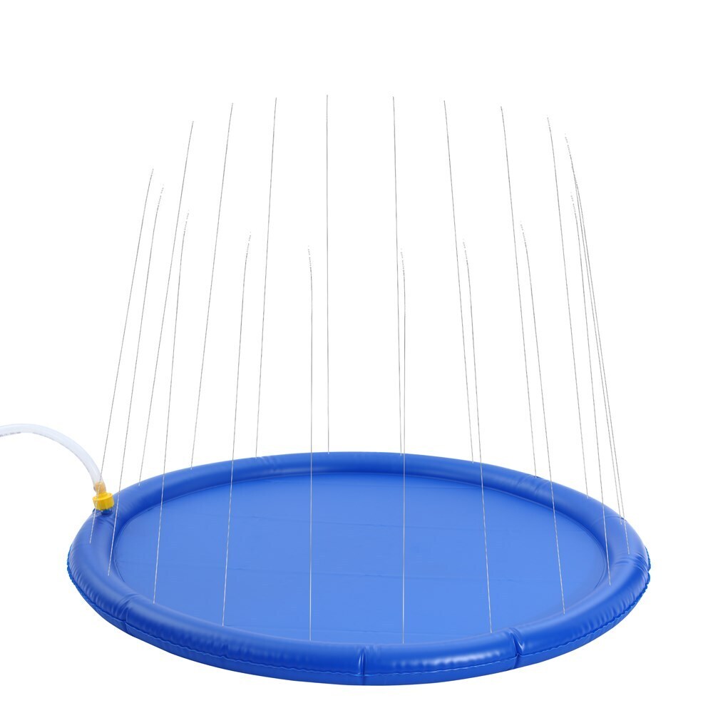 Blue swing set with a circular platform on a white background at Pet Servo