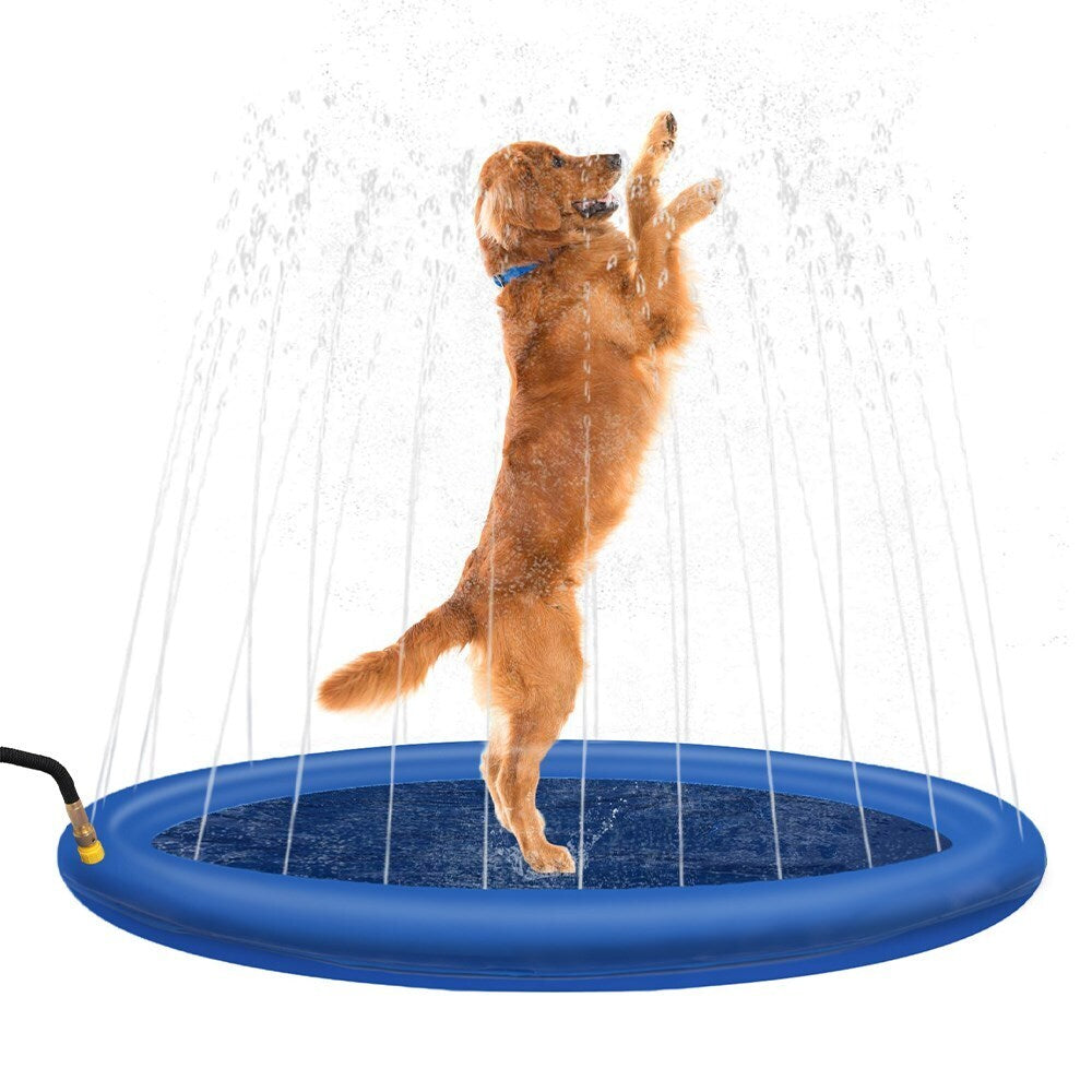 Dog playing on a blue sprinkler pad with water spraying around at Pet Servo