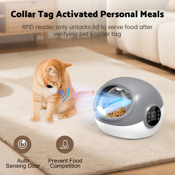 Pet feeding system with a cat wearing a collar tag in a living room setting.