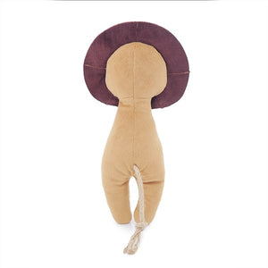 Rosewood - ECO friendly lion Toy For Dogs - Petservo