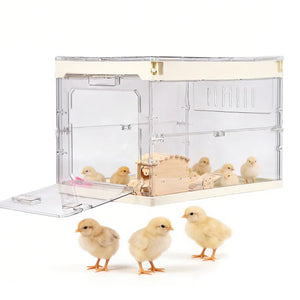 Clear acrylic chicken brooder with small chickens on a white background at Pet Servo